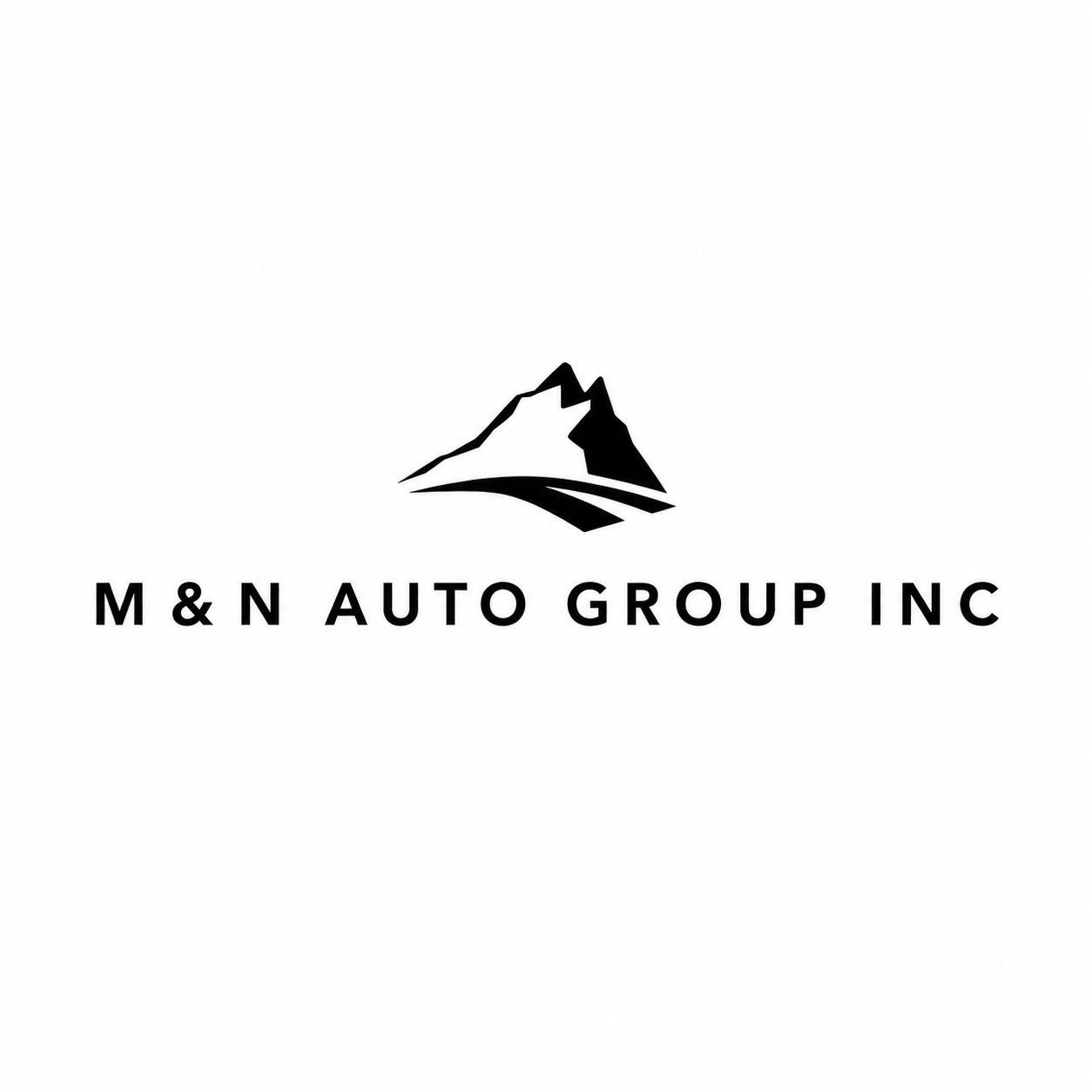 M&N Auto Group Inc. logo